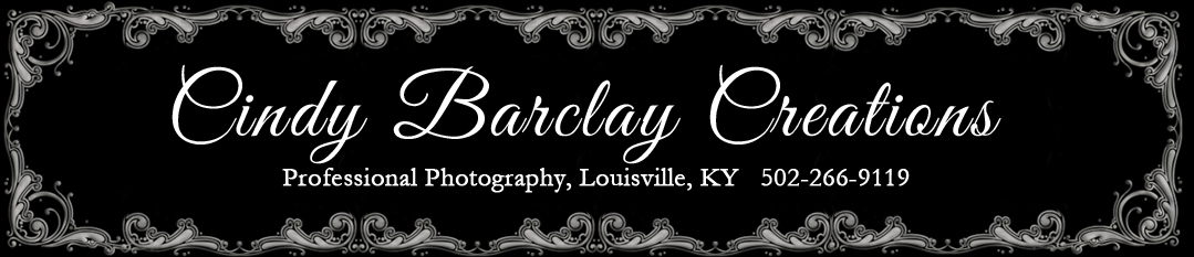 Cindy Barclay Creations logo